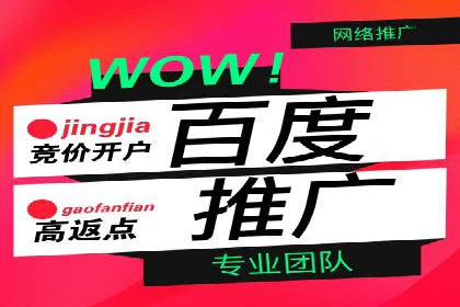 成功案例揭秘：百度包年竞价如何助力企业增长
