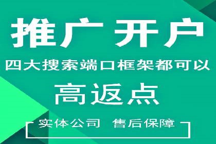 SEM代运营成功案例分享